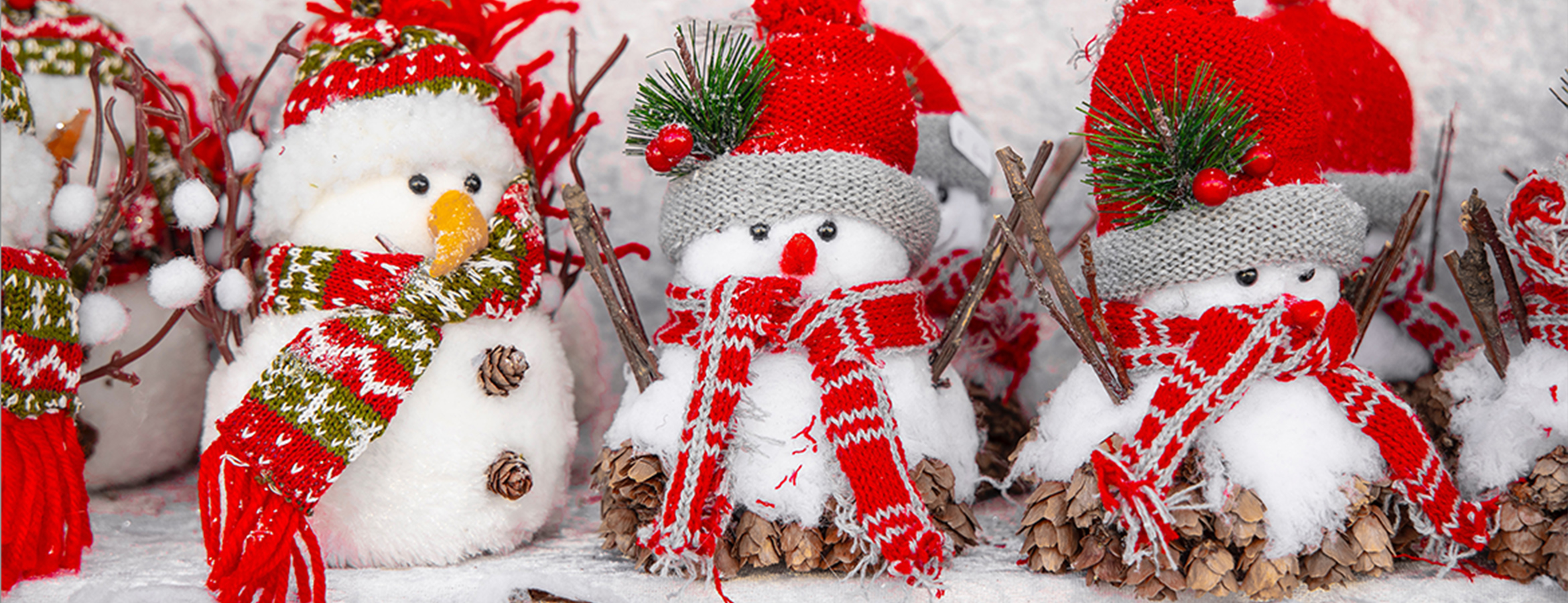 メインビジュアル1