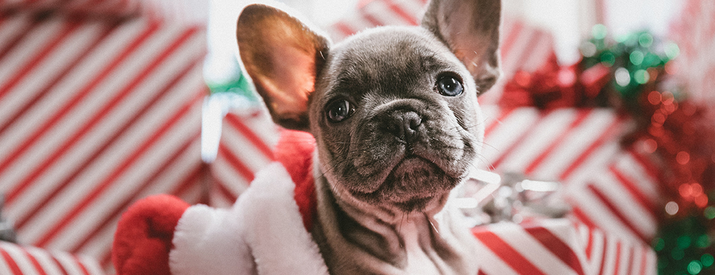 メインビジュアル4